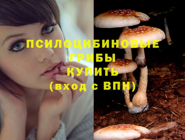 ГАЛЛЮЦИНОГЕННЫЕ ГРИБЫ Алексеевка