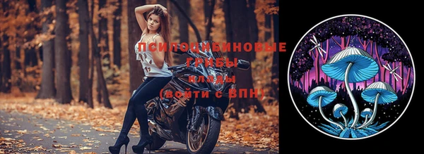 spice Алексин