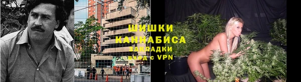 spice Алексин