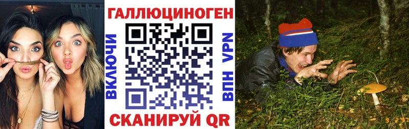 Псилоцибиновые грибы Cubensis  Лабытнанги 