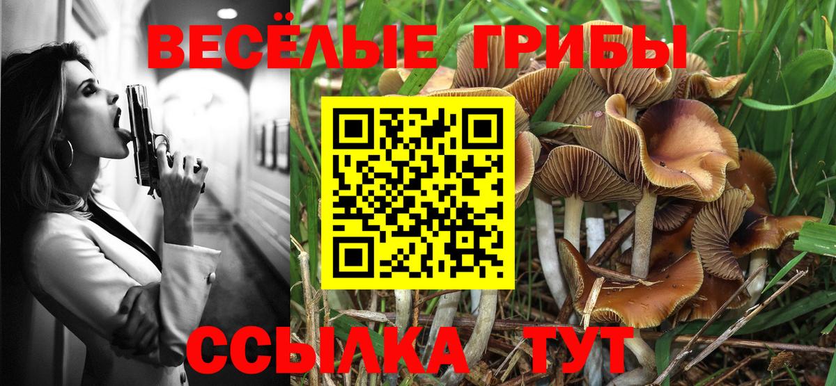 Галлюциногенные грибы Magic Shrooms Лабытнанги