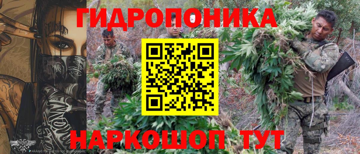 Канабис индика Лабытнанги